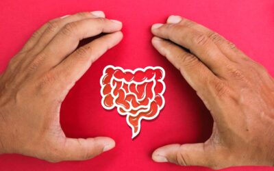 The Basics of Gut Health and How to Heal Your Gut